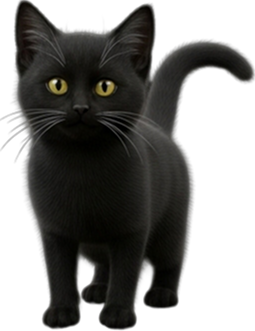 Kitten for Local Storage