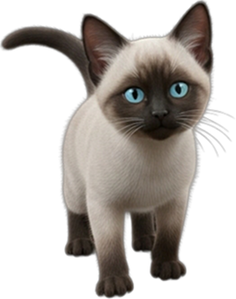 Kitten for IndexedDB