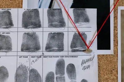 Forensic Files: The Science of Solving Crimes