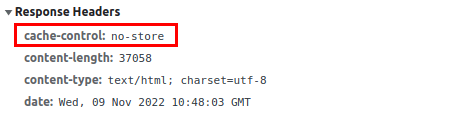 Screenshot of Chrome DevTools showing response headers, including 'cache-control: no-store'.