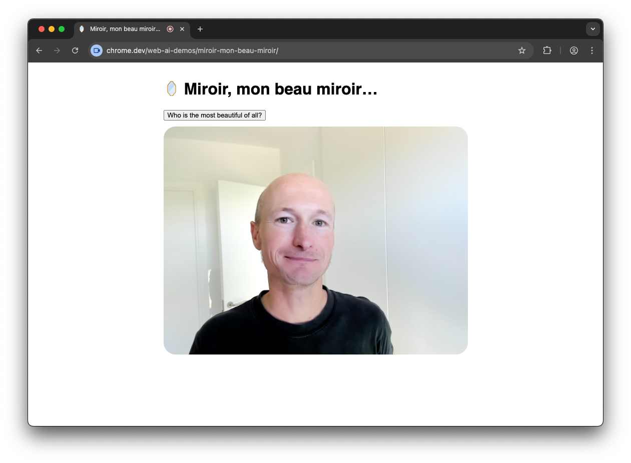 Screenshot of the Miroir, mon beau miroir demo with image input